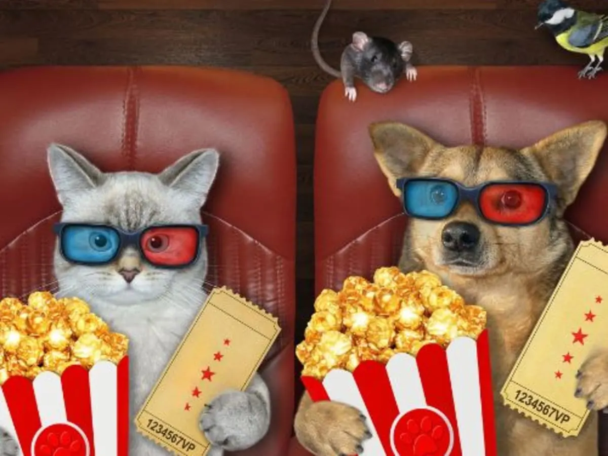 Un chat et un chien qui visionne un film