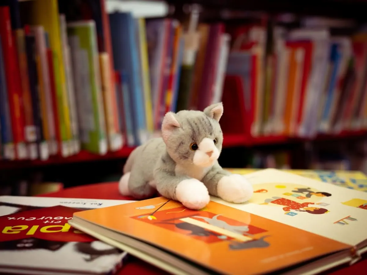 peluche de chat avec un livre ouvert